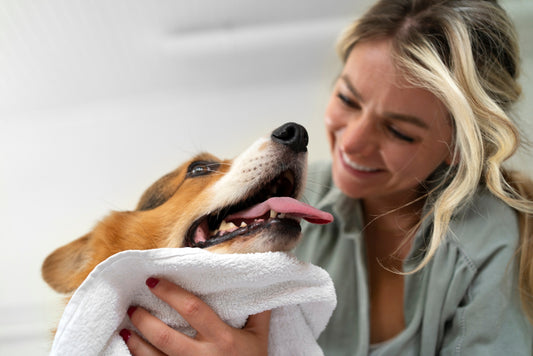 From Fluff to Fabulous: Creative Ways to Pamper Your Pet