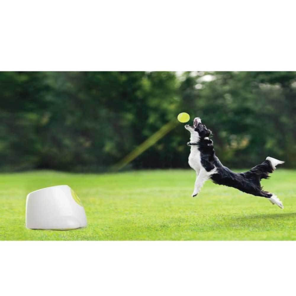 Hyper Fetch Maxi - Automatic Dog Ball Thrower