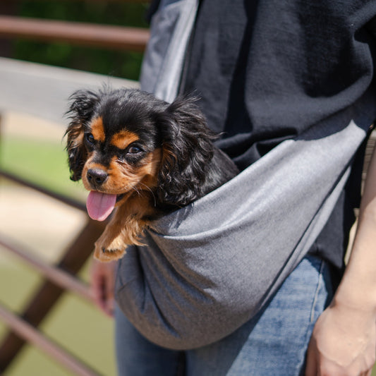 Lof Mesh Pet Sling Bag - Comfortable & Hands-Free Travel for Small