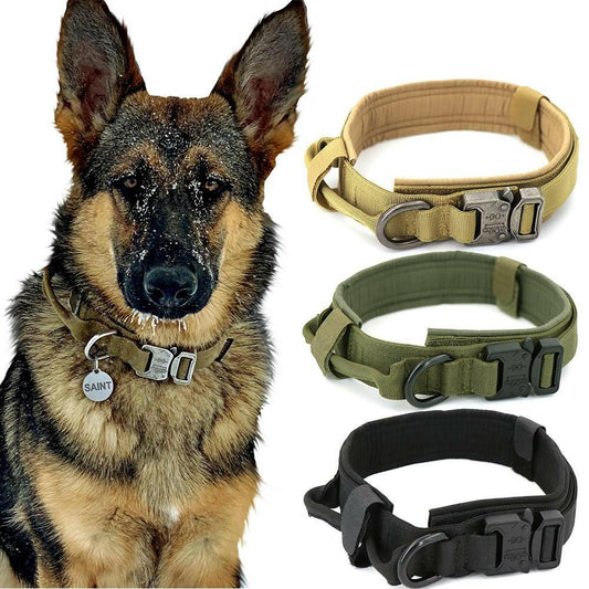 Military Tactical - Dog Collar