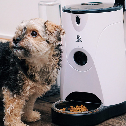 WiFi Pet Feeder and Communication